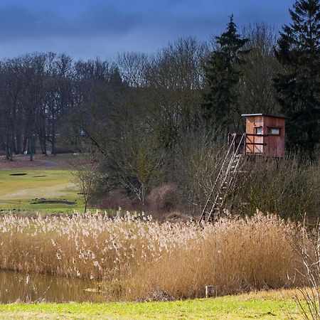 Tiny House Fleesensee Mit Eigenem Garten Und Nur Wenige Meter Vom Seeufer Ґерен-Леббін Екстер'єр фото