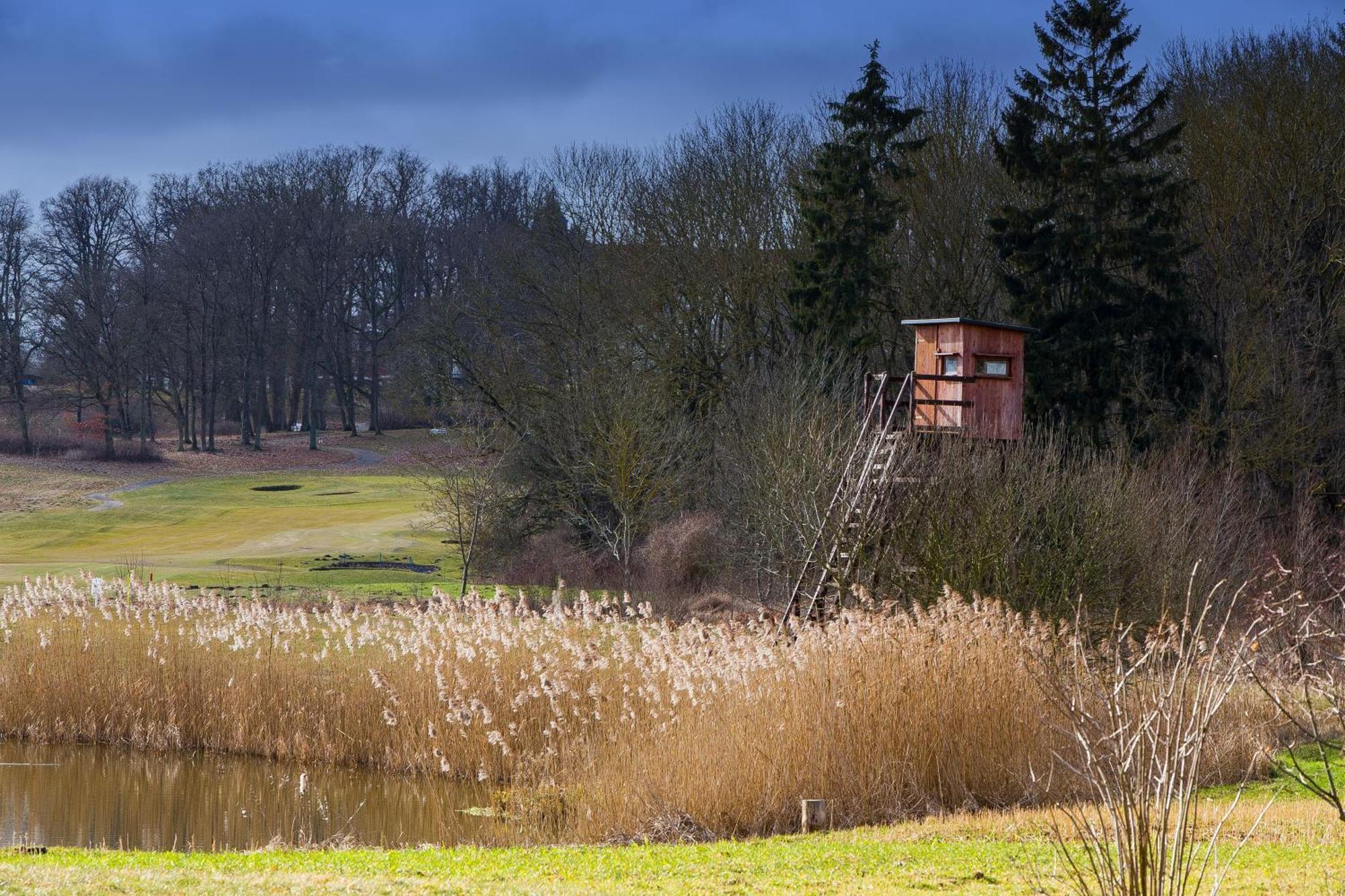 Tiny House Fleesensee Mit Eigenem Garten Und Nur Wenige Meter Vom Seeufer Ґерен-Леббін Екстер'єр фото